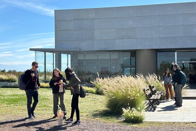 Winery Tour with Lunch and Blend Game - Centenario - Olivícola: olive oil tasting with flavored oils, pastas, and olives