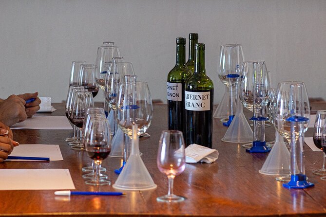 Winery Tour with Lunch and Blend Game - The people factor: what to expect from the guide and driver team