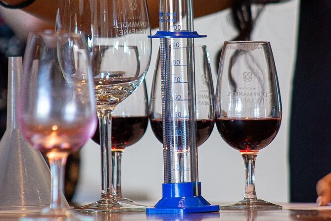 Winery Tour with Lunch and Blend Game - Bodega Familia Cecchin: organic and natural wine plus a 3-label tasting