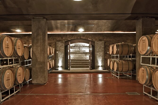 Winery Trapiche + Laur + Lunch in Tempus Alba. Private transfer - Should you book this private Laur plus Trapiche plus Tempus Alba tour?